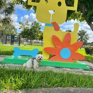 Meet your Posher, Leyla